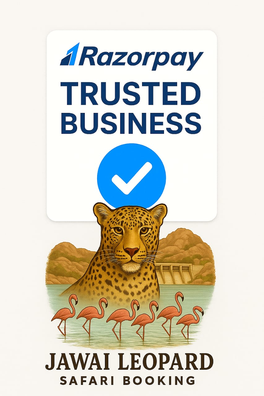 Jawai Leopard Safari